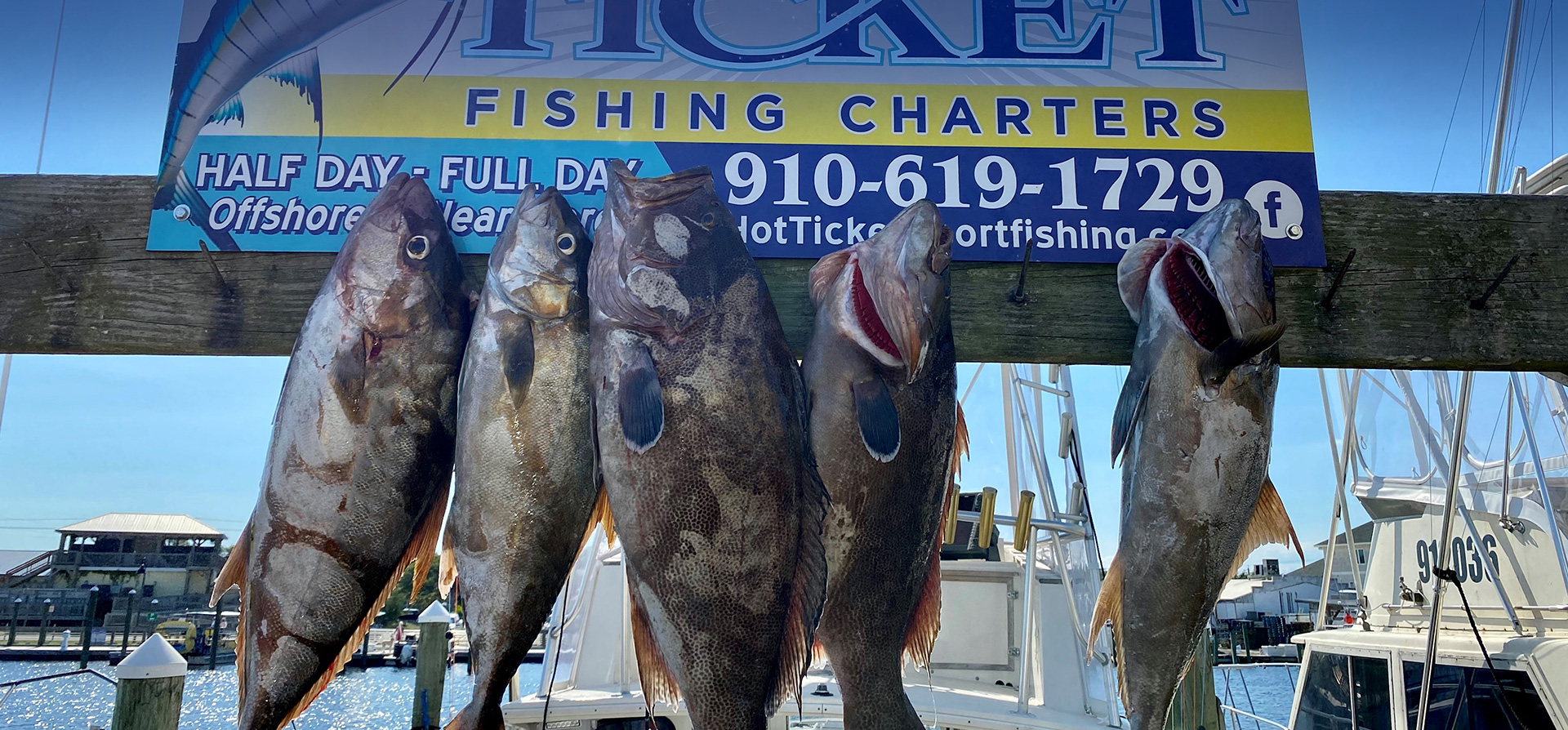 Carolina Beach Fishing Charters